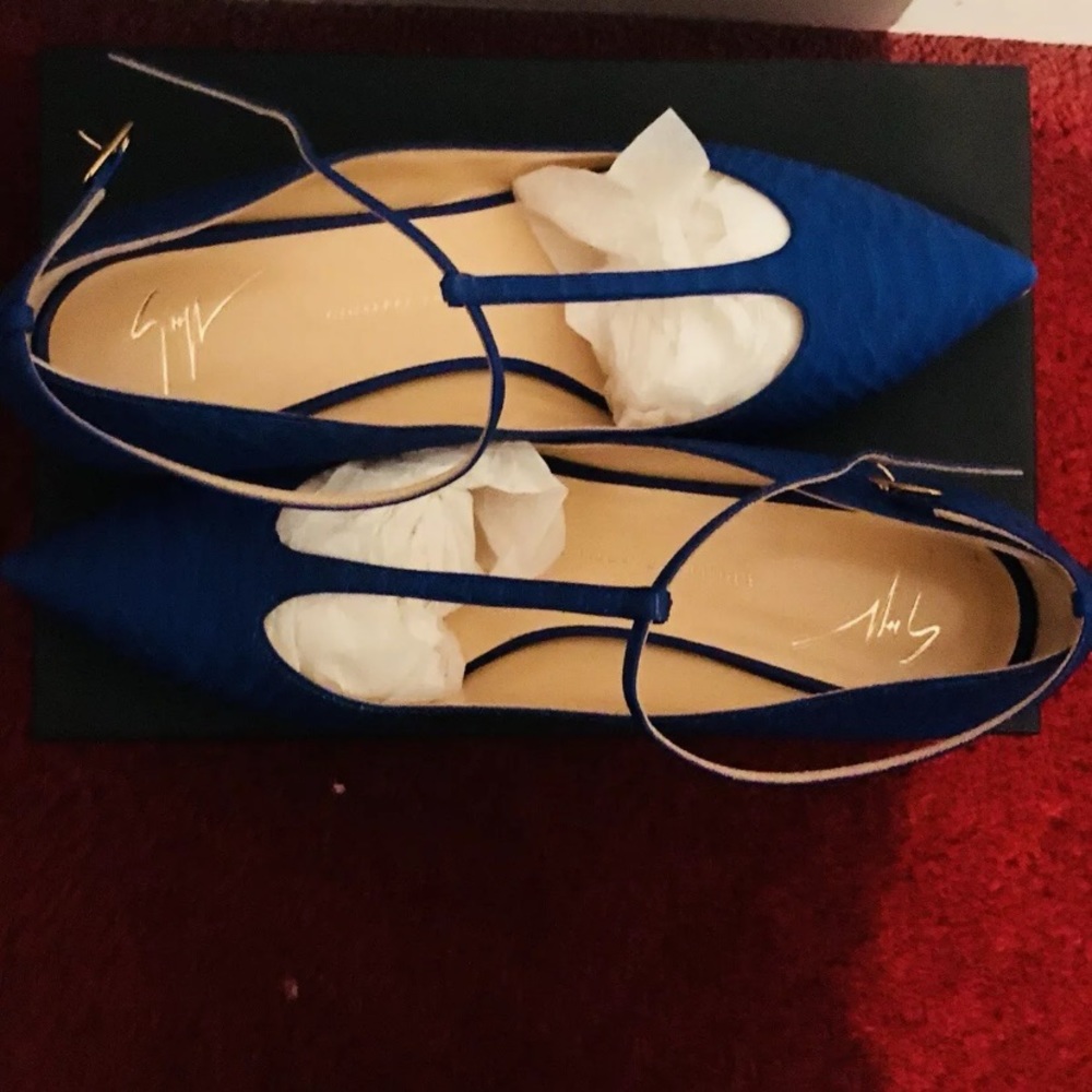 Giuseppe Zanotti Kitten Heels.